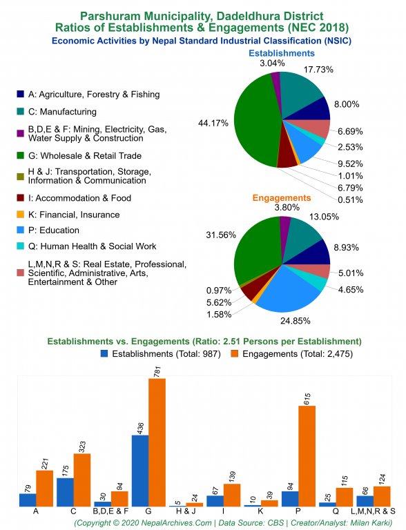 Economic Activities by NSIC Charts of Parshuram Municipality