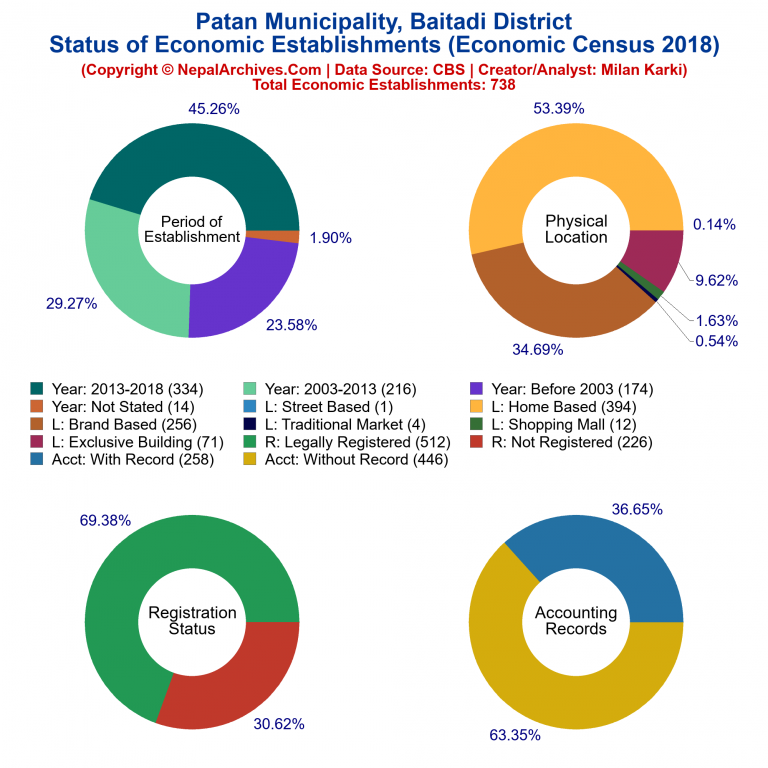 NEC 2018 Economic Establishments Charts of Patan Municipality
