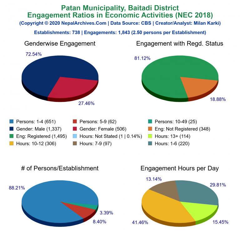 NEC 2018 Economic Engagements Charts of Patan Municipality