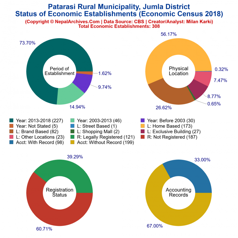 NEC 2018 Economic Establishments Charts of Patarasi Rural Municipality