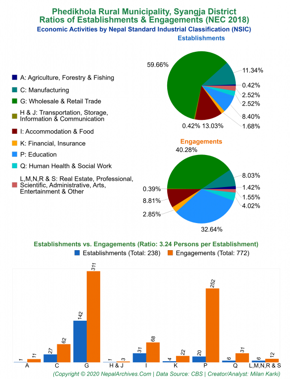 Economic Activities by NSIC Charts of Phedikhola Rural Municipality