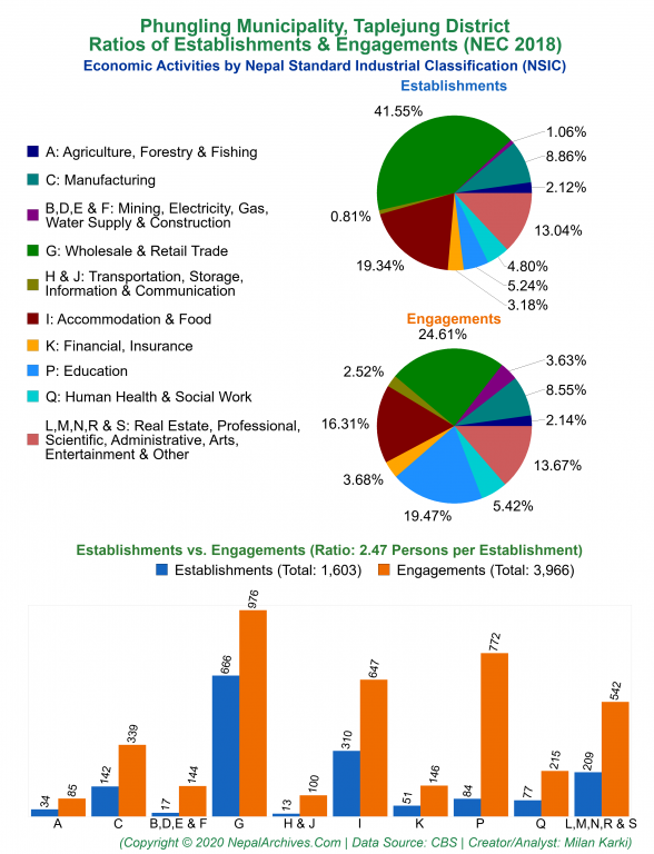 Economic Activities by NSIC Charts of Phungling Municipality