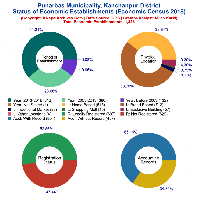 NEC 2018 Economic Establishments Charts of Punarbas Municipality