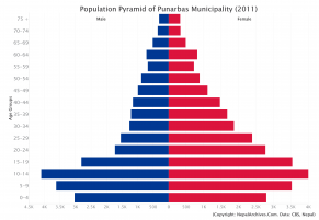 Population Pyramid of Punarbas Municipality, Kanchanpur District (2011 Census)