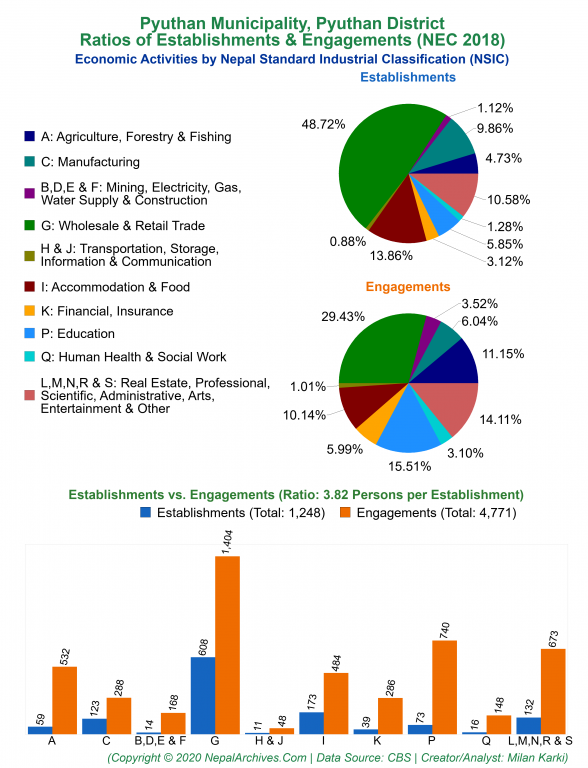 Economic Activities by NSIC Charts of Pyuthan Municipality