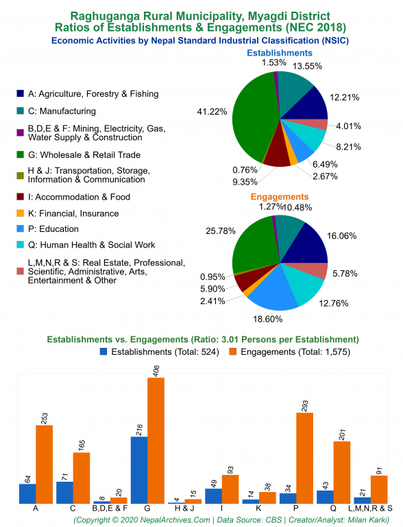 Economic Activities by NSIC Charts of Raghuganga Rural Municipality