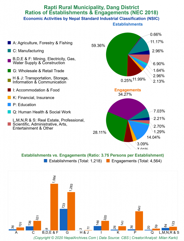 Economic Activities by NSIC Charts of Rapti Rural Municipality