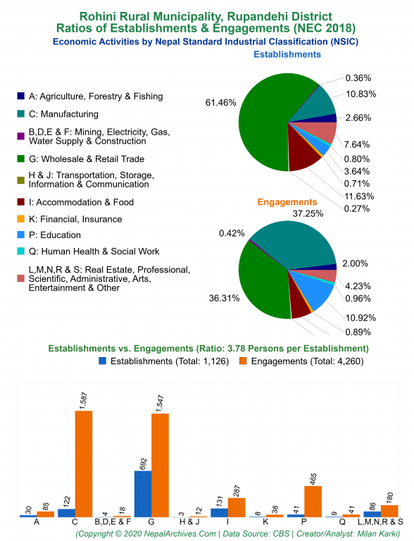 Economic Activities by NSIC Charts of Rohini Rural Municipality