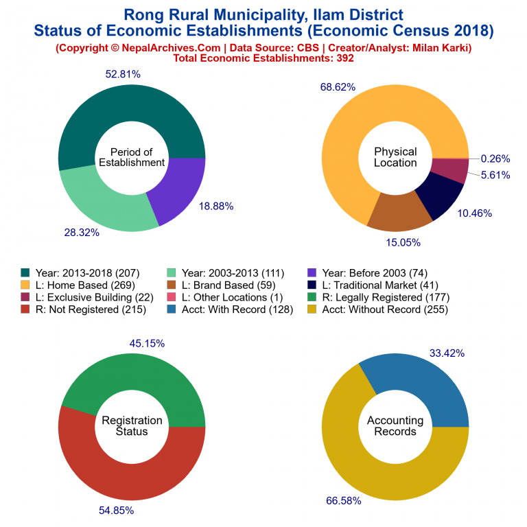 NEC 2018 Economic Establishments Charts of Rong Rural Municipality