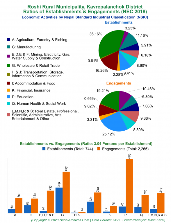 Economic Activities by NSIC Charts of Roshi Rural Municipality