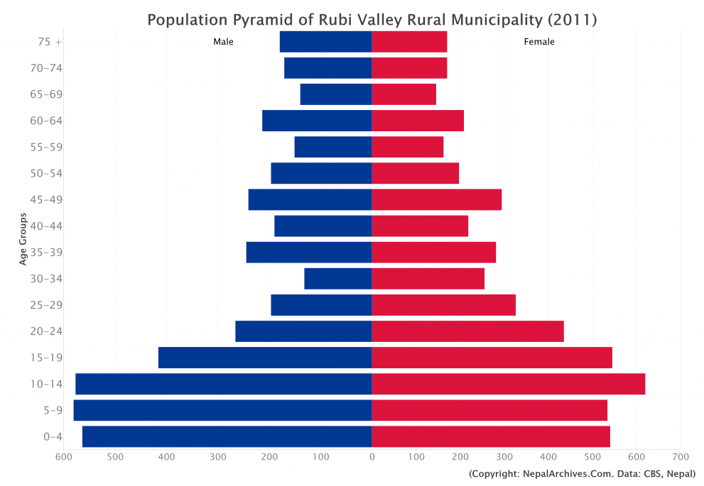 Population Pyramid of Rubi Valley Rural Municipality, Dhading District