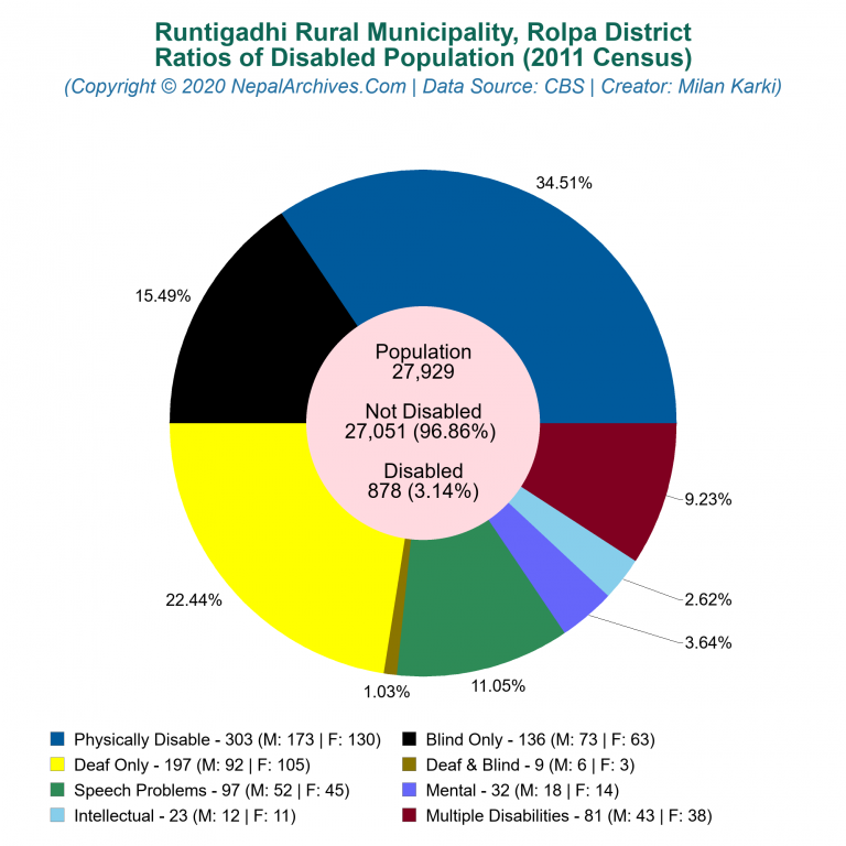Disabled Population Charts of Runtigadhi Rural Municipality