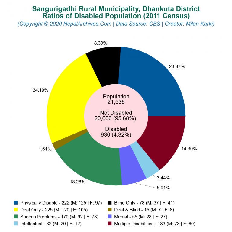 Disabled Population Charts of Sangurigadhi Rural Municipality