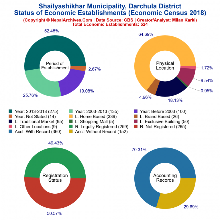 NEC 2018 Economic Establishments Charts of Shailyashikhar Municipality