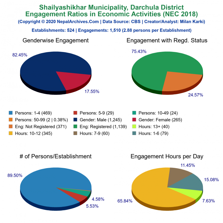 NEC 2018 Economic Engagements Charts of Shailyashikhar Municipality