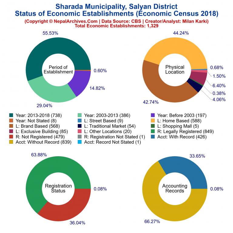 NEC 2018 Economic Establishments Charts of Sharada Municipality