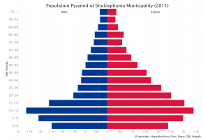 Population Pyramid of Shuklaphanta Municipality, Kanchanpur District (2011 Census)