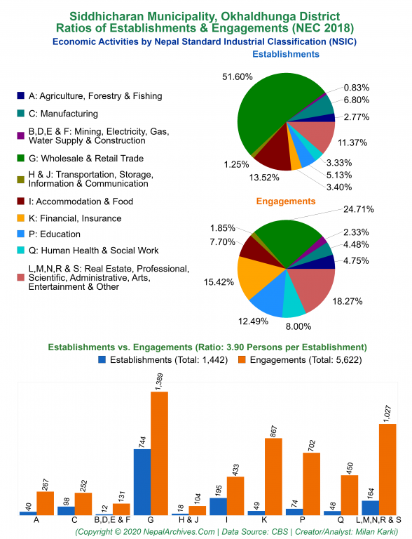 Economic Activities by NSIC Charts of Siddhicharan Municipality