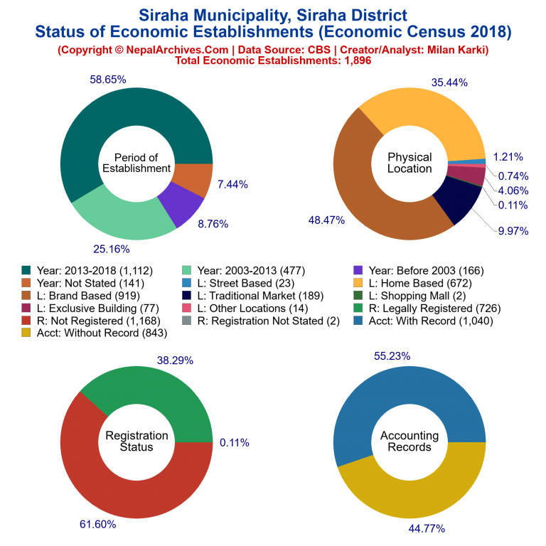 NEC 2018 Economic Establishments Charts of Siraha Municipality