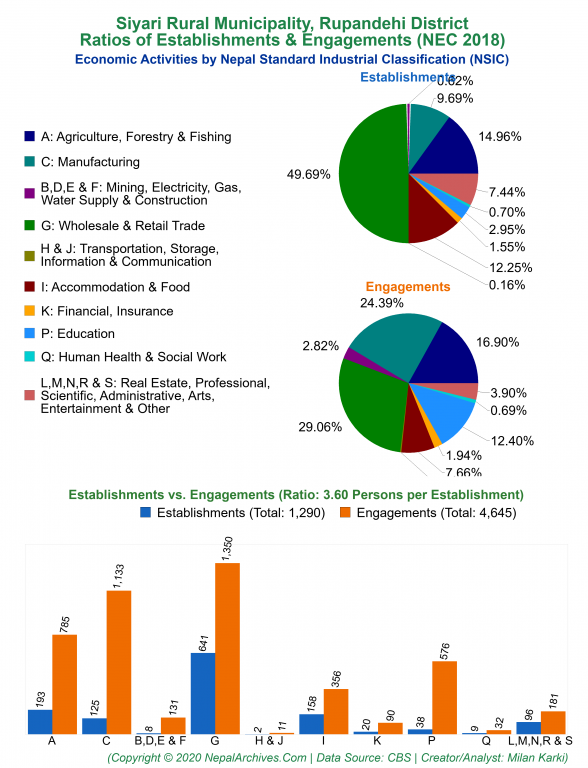 Economic Activities by NSIC Charts of Siyari Rural Municipality