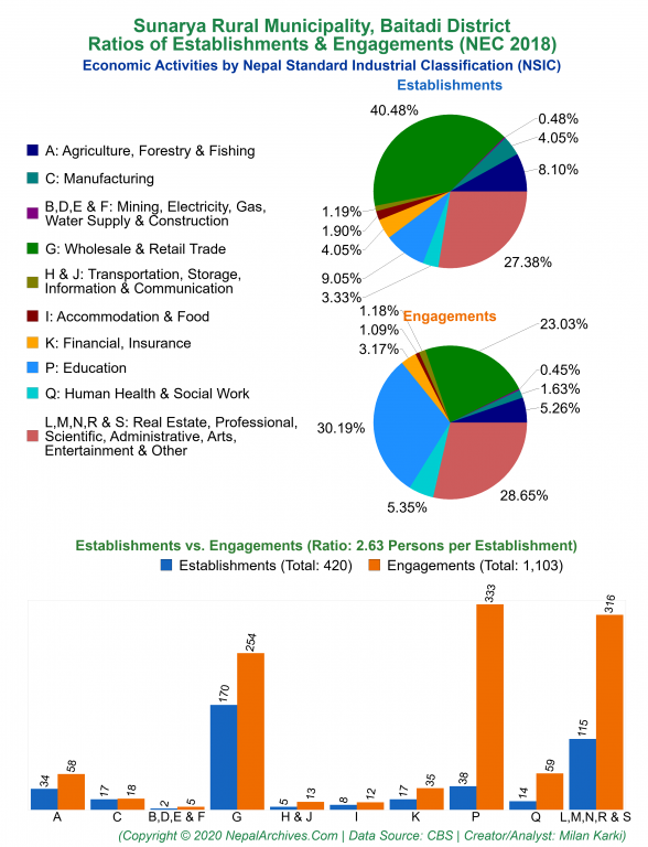 Economic Activities by NSIC Charts of Sunarya Rural Municipality