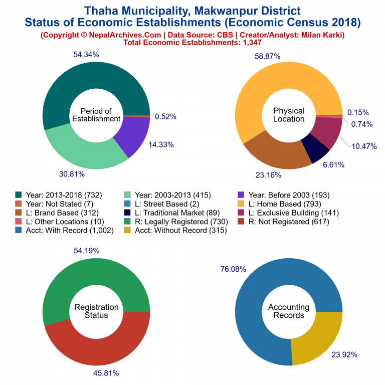 NEC 2018 Economic Establishments Charts of Thaha Municipality