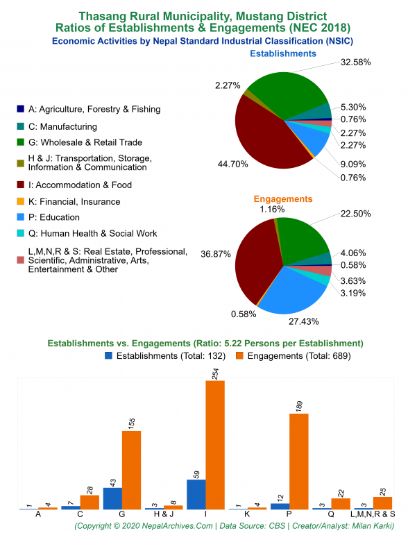 Economic Activities by NSIC Charts of Thasang Rural Municipality