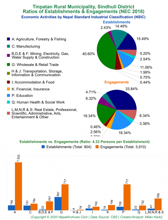 Economic Activities by NSIC Charts of Tinpatan Rural Municipality