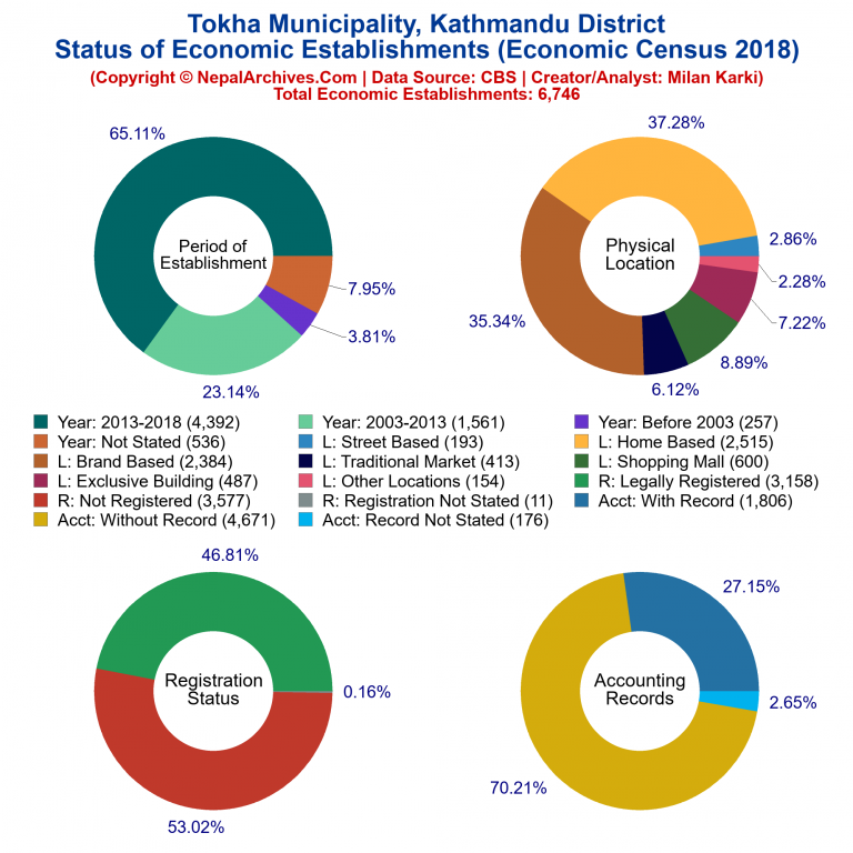 NEC 2018 Economic Establishments Charts of Tokha Municipality