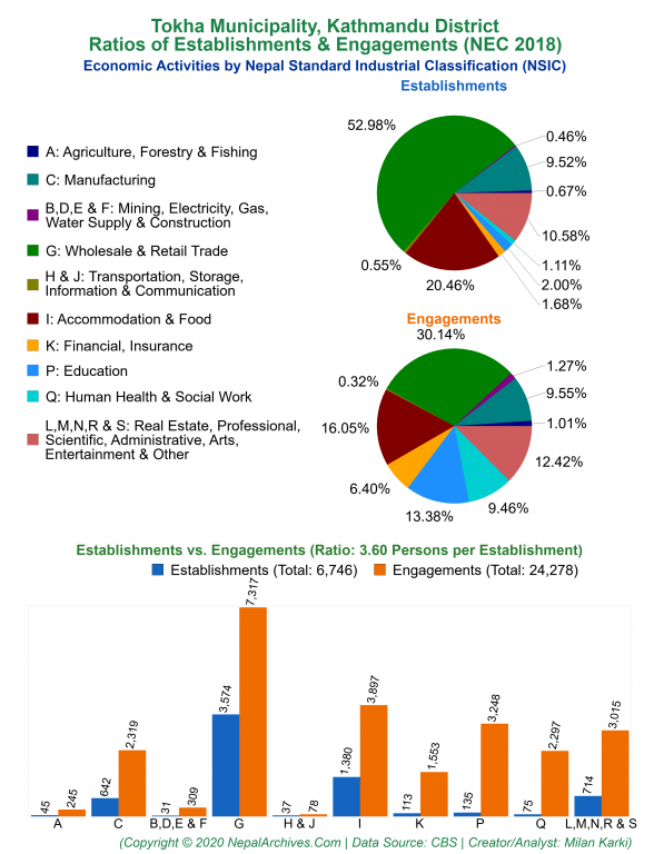 Economic Activities by NSIC Charts of Tokha Municipality