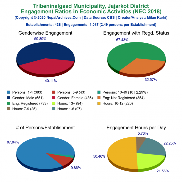 NEC 2018 Economic Engagements Charts of Tribeninalgaad Municipality