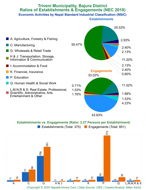 Economic Activities by NSIC Charts of Triveni Municipality
