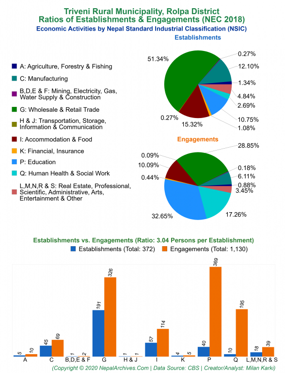 Economic Activities by NSIC Charts of Triveni Rural Municipality