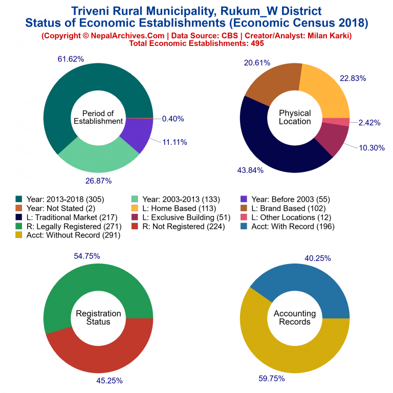 NEC 2018 Economic Establishments Charts of Triveni Rural Municipality