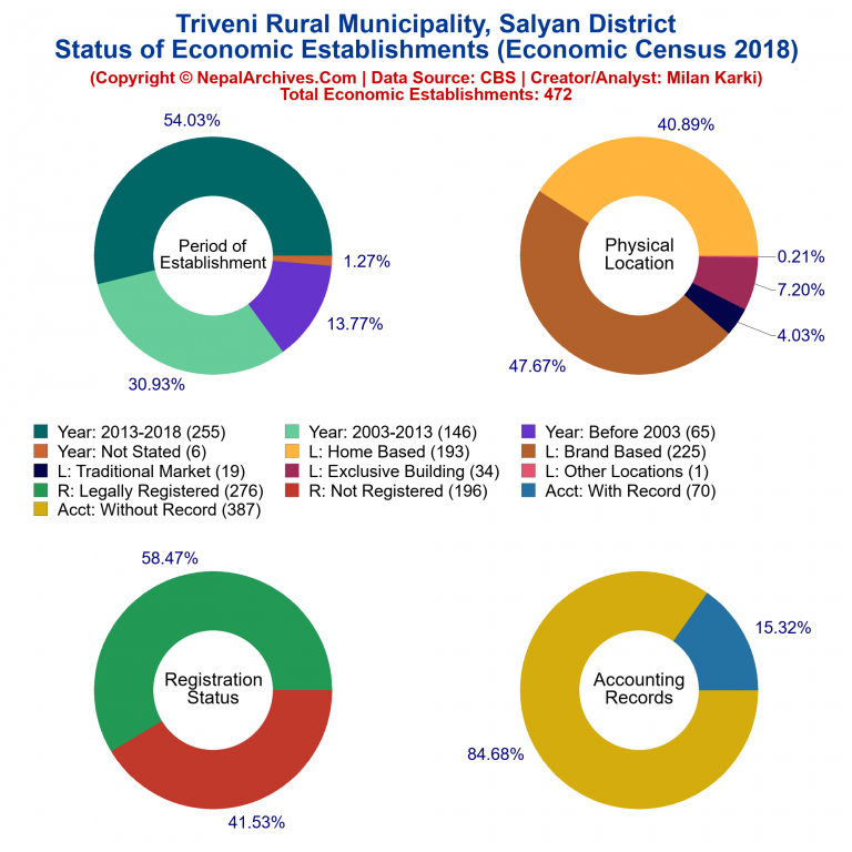 NEC 2018 Economic Establishments Charts of Triveni Rural Municipality