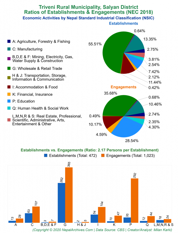 Economic Activities by NSIC Charts of Triveni Rural Municipality