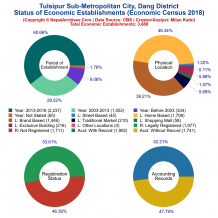 Tulsipur Sub-Metropolitan City (Dang) | Economic Census 2018