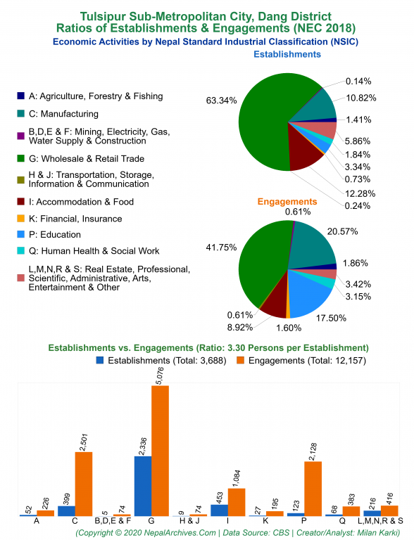 Economic Activities by NSIC Charts of Tulsipur Sub-Metropolitan City