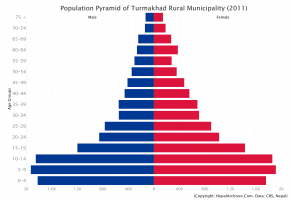 Population Pyramid of Turmakhad Rural Municipality, Achham District (2011 Census)