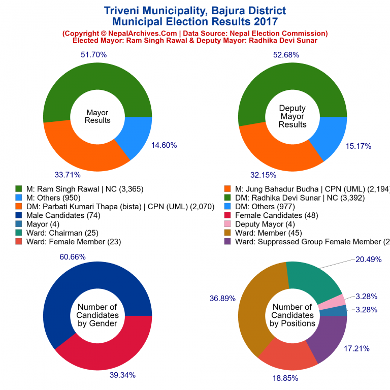 2017 local body election results piechart of Triveni Municipality