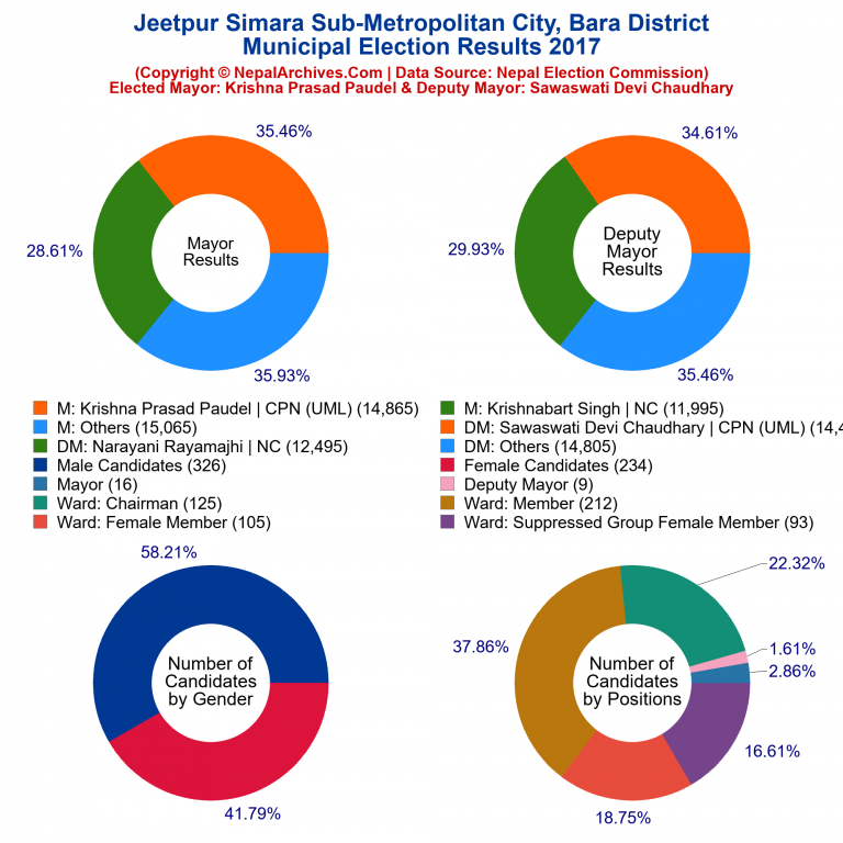2017 local body election results piechart of Jeetpur Simara Sub-Metropolitan City