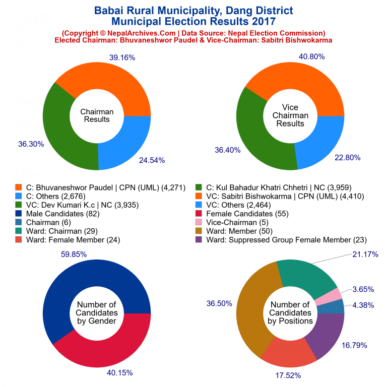 2017 local body election results piechart of Babai Rural Municipality