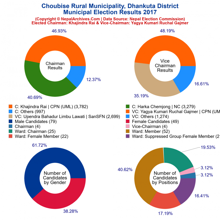 2017 local body election results piechart of Choubise Rural Municipality
