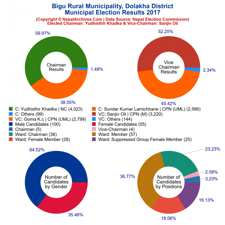 2017 local body election results piechart of Bigu Rural Municipality