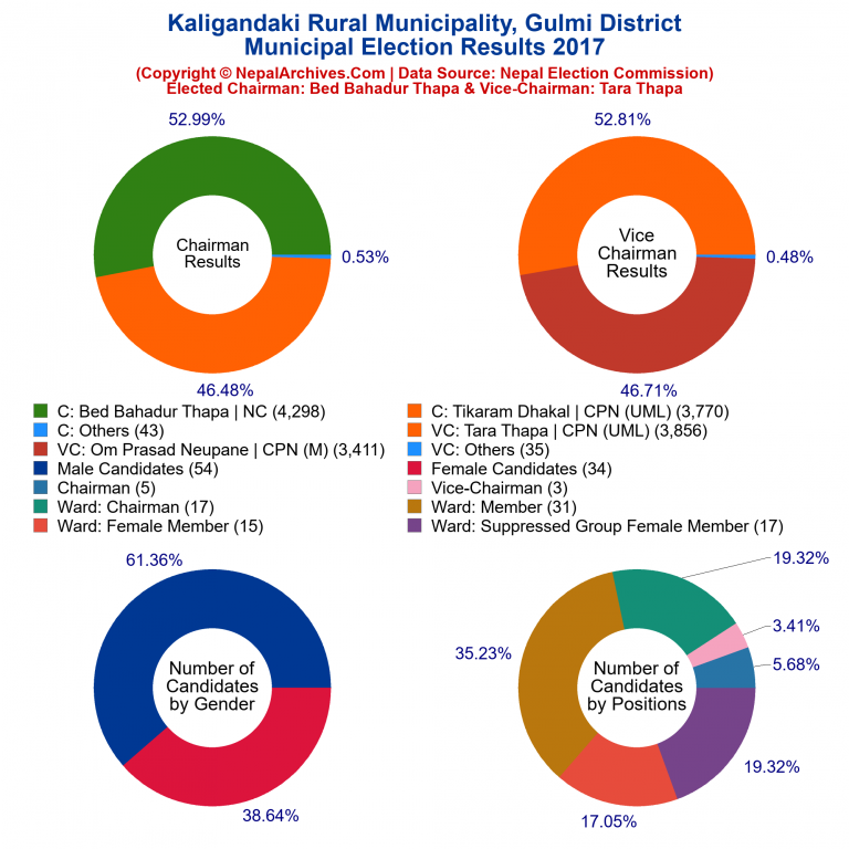 2017 local body election results piechart of Kaligandaki Rural Municipality
