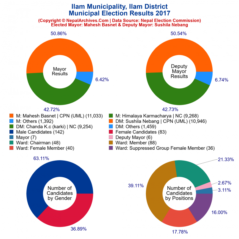 2017 local body election results piechart of Ilam Municipality