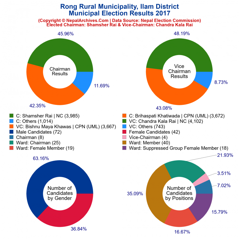 2017 local body election results piechart of Rong Rural Municipality