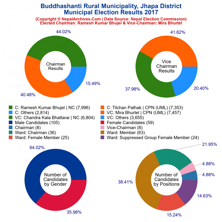 2017 local body election results piechart of Buddhashanti Rural Municipality
