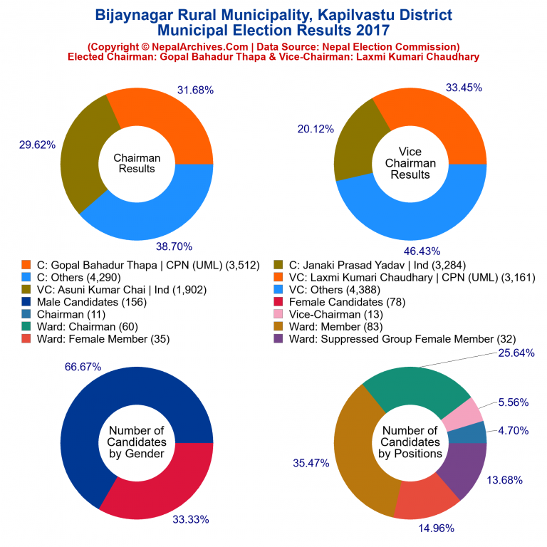 2017 local body election results piechart of Bijaynagar Rural Municipality