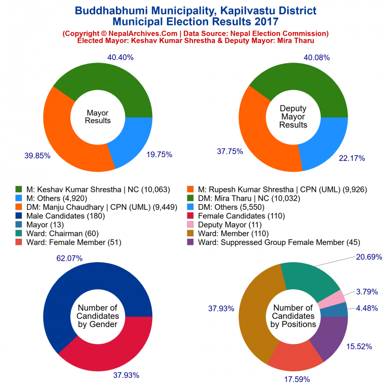 2017 local body election results piechart of Buddhabhumi Municipality